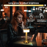 LED Desk Lamp